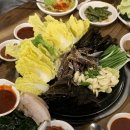 뉴 차칸데 마시따 이미지