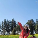 [제주/한림] 제주에서 신나는 액티비티 체험 ‘새별레져 ATV’(금액, 예약방법, 주의사항 등)