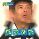 롯데애견 이미지