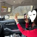 고수라김밥 만덕동문점 | 3박 4일 제주 여행 - 와인, 가을 산행, 현지인 맛집 리스트