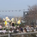 페브러리래빗 이미지