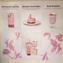 방배로18길 13-7 | 신사동 가로수길 카페 ┃ 프론트서울 : 프론트 말차 내돈내산 후기, 압구정 데이트 대형 카페