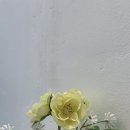 온더페리