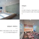 더 스완 컴퍼니