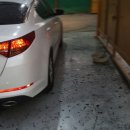 신세계 카 서비스 이미지