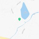 도그투게더(Dog together) 이미지