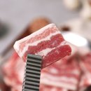 월드냉동 이미지