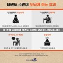 호림태권도 이미지