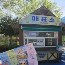 함평나비(광주) | 함평 나비대축제 실시간 방문후기(2025.04.25)