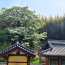 덕림서원 이미지