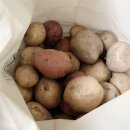 백번농장 이미지