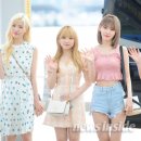 나코 이미지