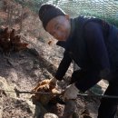 김태연농장 이미지