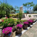 대구대산초등학교 이미지