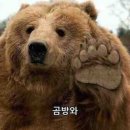 오하요 네이버블로그