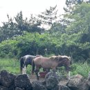 예쁜물건가게 이미지