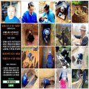 부촌리 | 염쟁이강씨의 화천군 (유골함) 묘지개장 후기