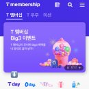 주정차단속-051 이미지