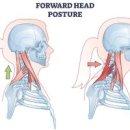 국가대표 체형교정센터 이미지