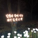 중앙교회 앞(대공원길) 이미지