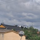 외덕축산 Daum카페