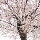 중국어 기초 회화 이미지