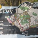 유수지공원 유아숲체험원 이미지