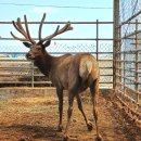 친환경화식농장 이미지