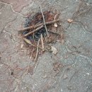 천천초교 이미지