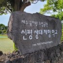보성초신평분교장 이미지