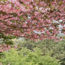 충혼탑 화장실 이미지