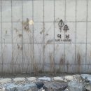 덕남 이미지