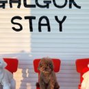 갈곡스테이 이미지