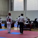 국가대표 SH 태권도장 이미지