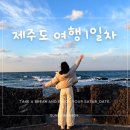 [제주도 여행 1일차] sk 렌터카, 커피냅로스터스, 돌갱이네집, 협재 해수욕장 소품샵, 에코그린리조트