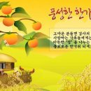 충남지체장애인협회부여군지회 이미지