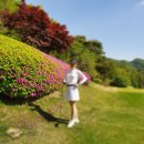 스카이밸리골프장 티스토리