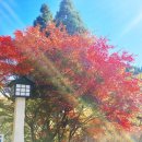 도라도라 이미지