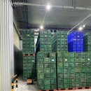 (주)와이즈팜 이미지