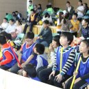 봉은초등학교 이미지