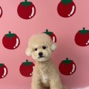 반야시스터 이미지