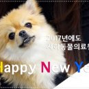 사하동물의료원 네이버블로그