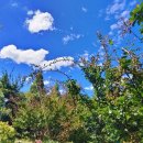 금빛로 112번길 이미지