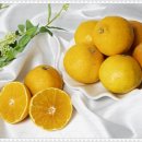 홍제으뜸경희한의원 이미지