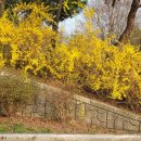 고창공설운동장 이미지