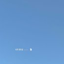위드독 - 양평군 중앙로111번길 53-4 | 위드독