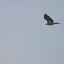 경안천습지생태공원 이미지