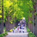 치유의 숲 방문자센터 이미지