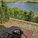 수달1985 이미지