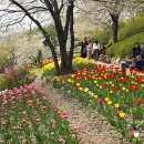 숲속쉼터 이미지